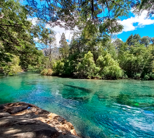 Bariloche Verano 2025