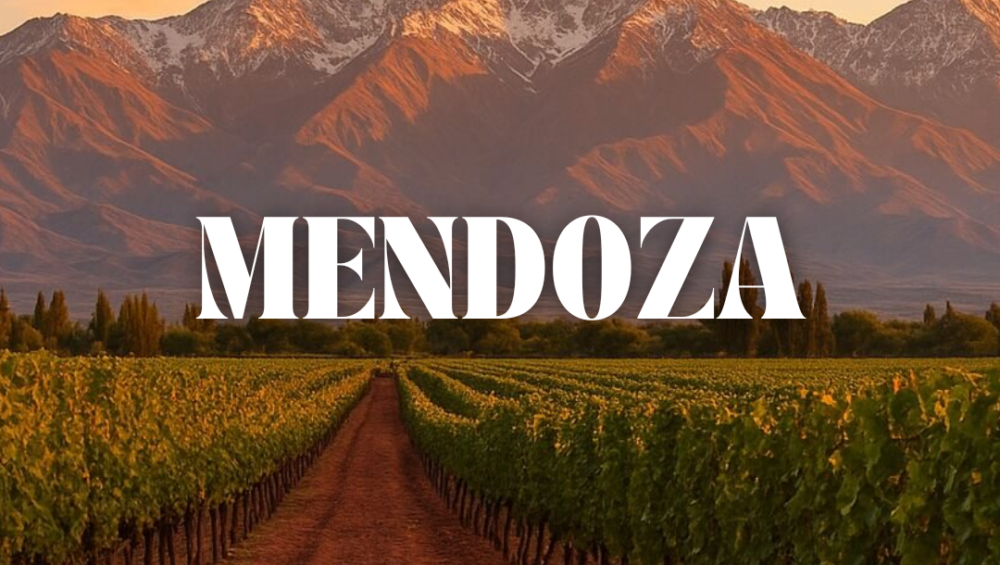 tur_mendoza
