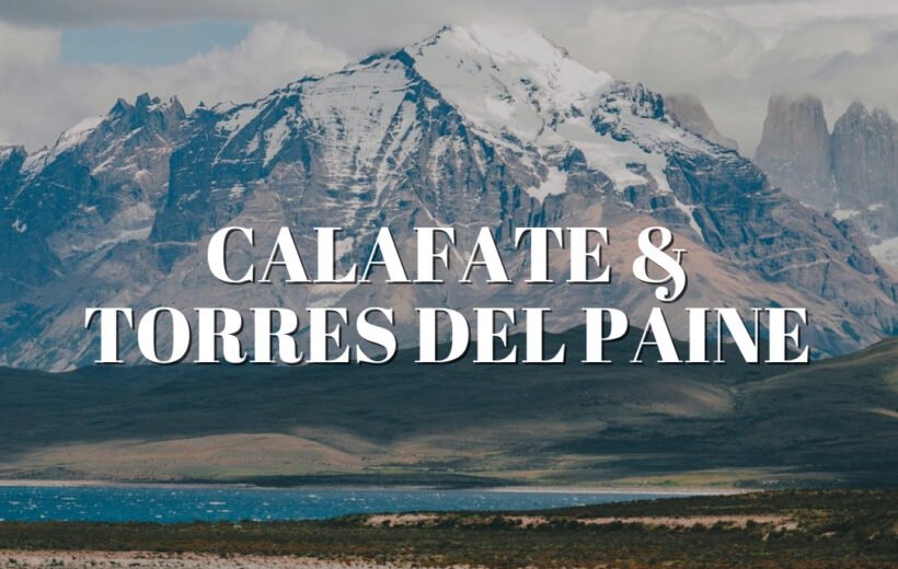 Calafate & torres del paine