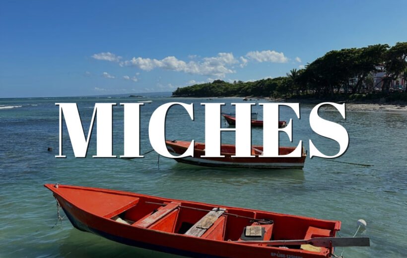 Miches