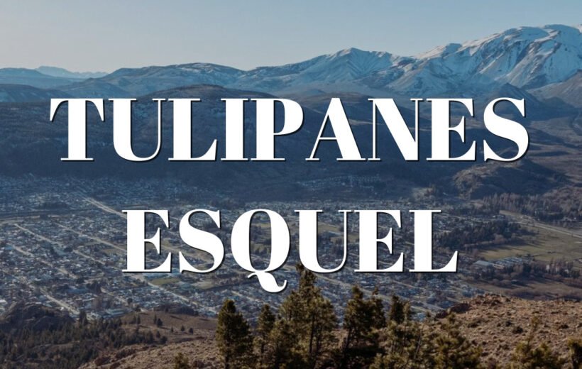 Tulipanes esquel